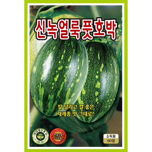 호박 씨앗 모음 종자 맷돌 쥬키니 미니꿀, 2개
