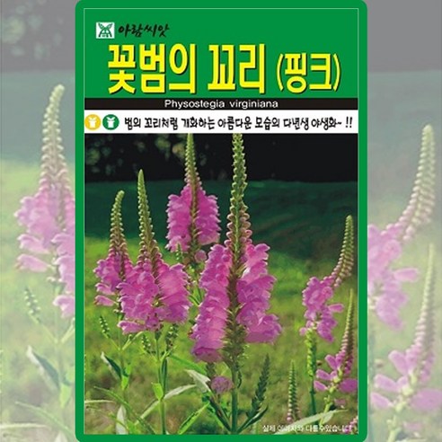 아람종묘 꽃범의꼬리 씨앗 100립 핑크 꽃범의꼬리 꽃씨 야생화 종자, 단품