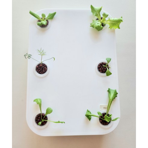 자연을 가까이, 공간을 아름답게