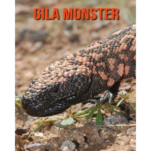 Gila Monster: Amazing Facts about Gila Monster Paperback, Independently Published, English, 9798550831458
