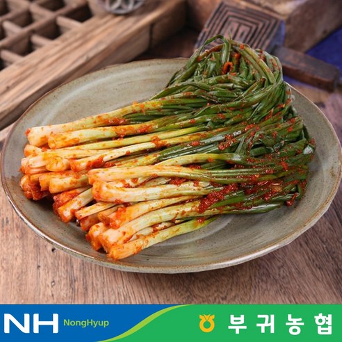 한국농협 마이산김치 국내산 파김치 1kg, 1개