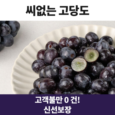 [고당도] 씨없는 프리미엄 블랙 세이블 포도