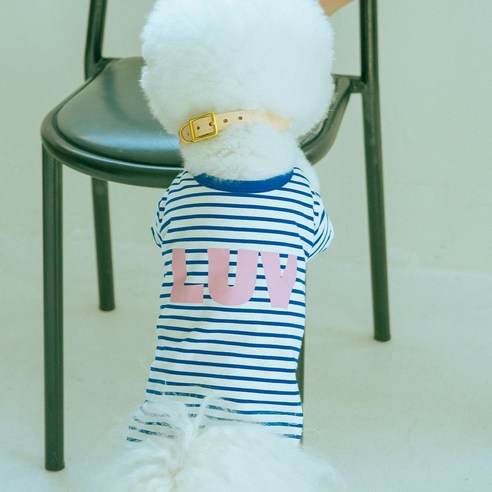 유앤펫 러브 스트라이프 티셔츠 중형견 대형견옷, 1개, 블루