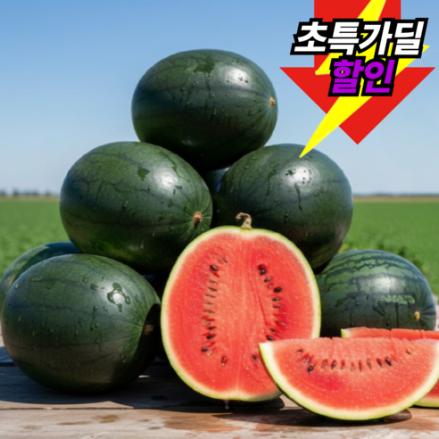 [딱100박스] 당도폭발 산지직송 꿀brix 흑수박