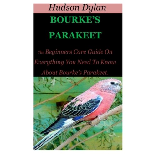 Bourke''s Parakeet: The Beginners Care Guide On Everything You Need To ...