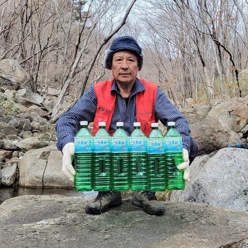토박이 지리산 고로쇠 수액, 6개, 1.5L