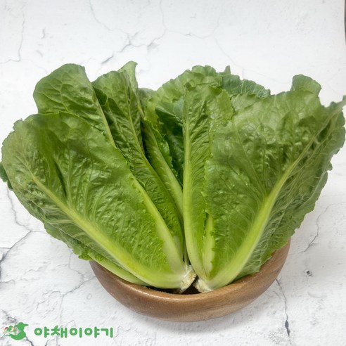 야채이야기 신선한 통로메인 500g 로메인 상추