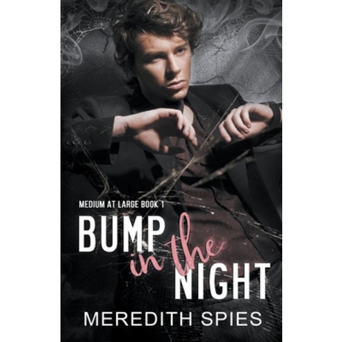 (영문도서) Bump in the Night Paperback, Meredith Spies, English, 9798223516996