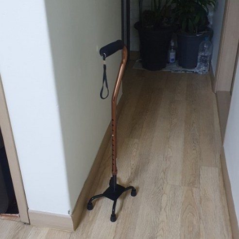 어르신의 빛나는 발걸음을 위한 든든한 동반자, 늘찬 지팡이