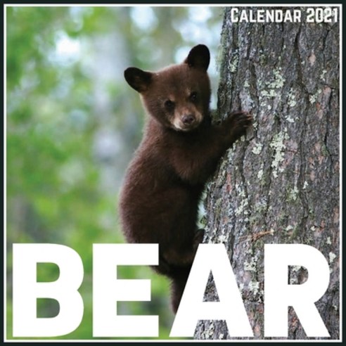 Bear Calendar 2021: Official Bear Calendar 2021 12 Months Paperback, Independently Published, English, 9798703546550