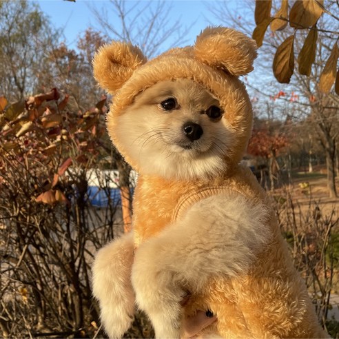 데댕 큐트 베어 강아지 후리스 조끼, 브라운