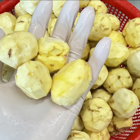 든든한 하루를 여는 마법, 영양 찰떡으로 맛과 건강을 한 번에!