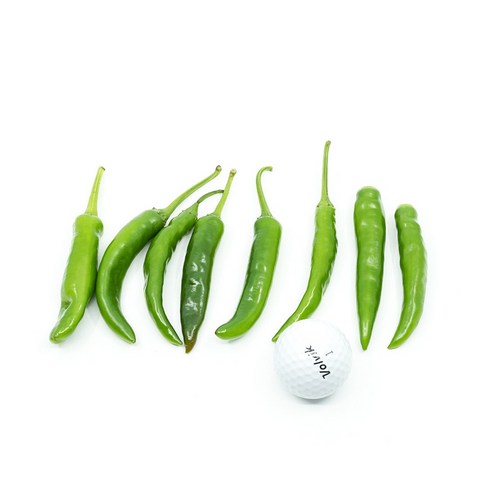 신선한 청양고추로 매운 맛의 즐거움을 경험하세요!