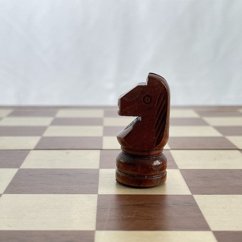 자석의 힘으로 업그레이드된 체스 경험