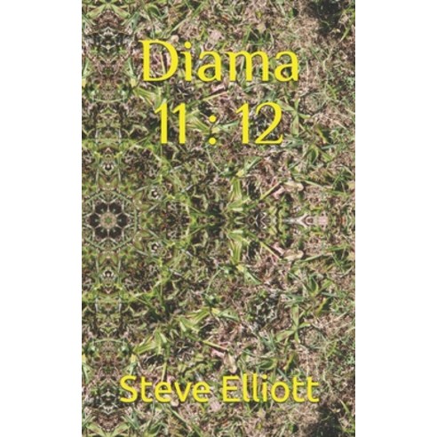 (영문도서) Diama 11: 12 Paperback, Independently Published, English, 9798773896067