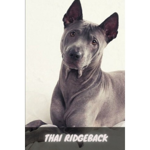 (영문도서) Thai Ridgeback: Complete breed guide Paperback, Independently Published, English, 9798761305373