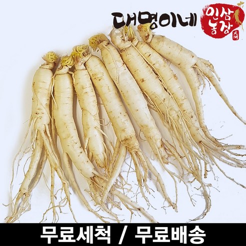 인삼수삼 오쿠1회분 원삼믹서 세척 8뿌리내외 250g, 1개, 원삼 믹서 8뿌리내외(250g)