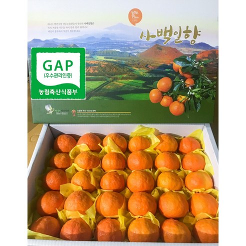 탐스러운 제주 카라향, 온 가족 행복 충전! 맛있는 주말을 선물하세요 카라향10kg