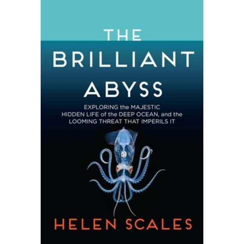 (영문도서) The Brilliant Abyss: Exploring the Majestic Hidden Life of the Deep Ocean and the Looming Th... Paperback, Atlantic Monthly Press, English, 9780802158239