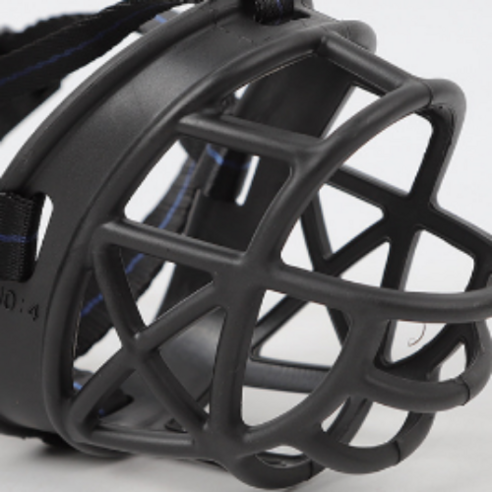 반려견의 안전과 편안함을 동시에