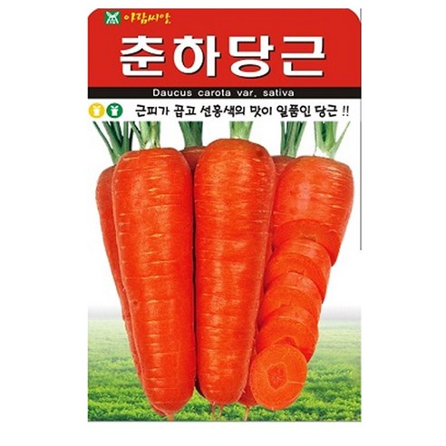 춘하당근 씨앗 당근 씨 종자, 3개