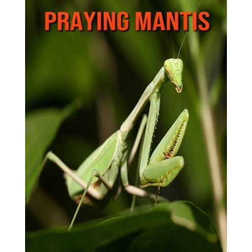 Praying Mantis: Amazing Facts about Praying Mantis Paperback, Independently Published, English, 9798551430919