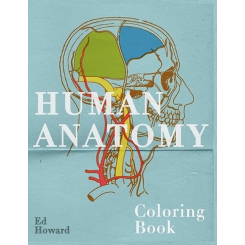 Human Anatomy Coloring Book: Visual and Instructive Guide To the Human Body - Muscles Bones Blood ... Paperback, Independently Published