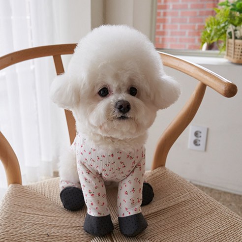해피러시 하네스슈즈웨어 애견신발 강아지 올인원 옷 강아지신발