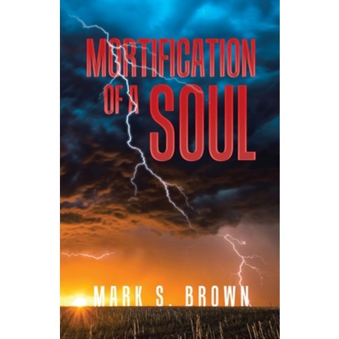 (영문도서) Mortification of a Soul Paperback, WestBow Press, English, 9781664287105