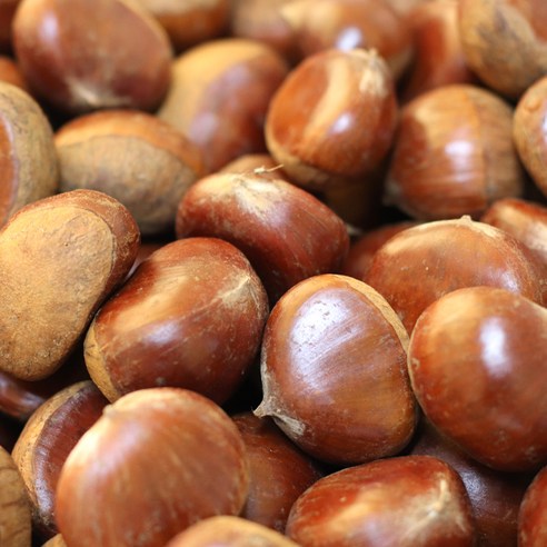 2024년 공주 왕특 햇밤: 임금님 수라상에 오르던 그 맛!