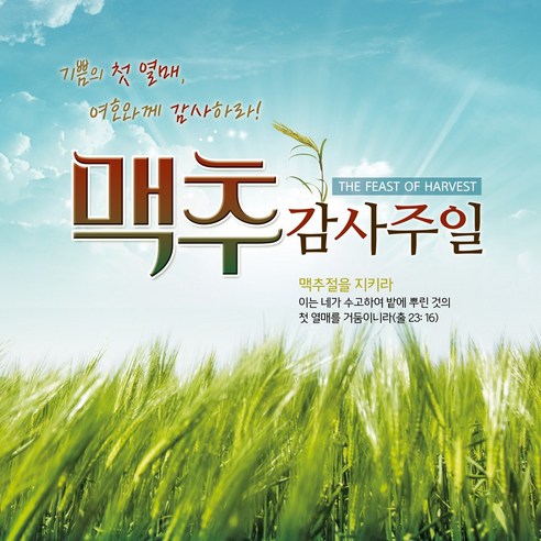 맑은누리디자인 맥추감사주일현수막 404 (수정불가)