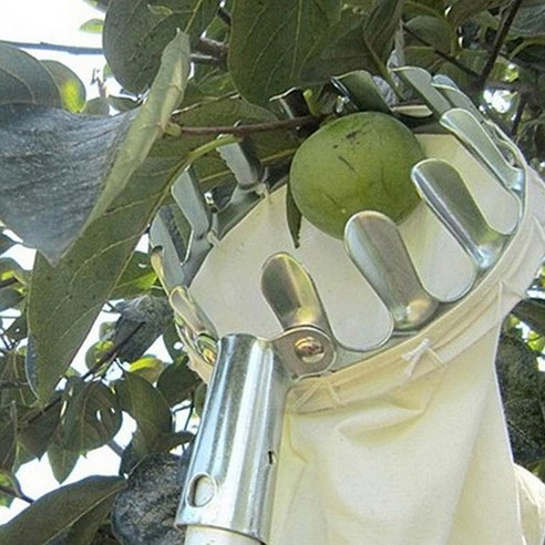 감 따는 도구 열매 수확 과일 따기 장대 헤드 수확기