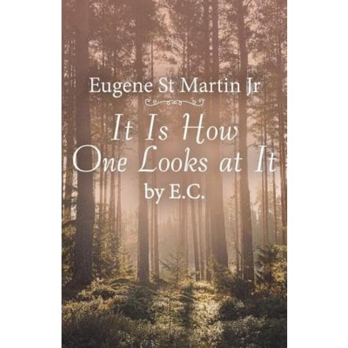 It Is How One Looks at It by E. C. Paperback, iUniverse