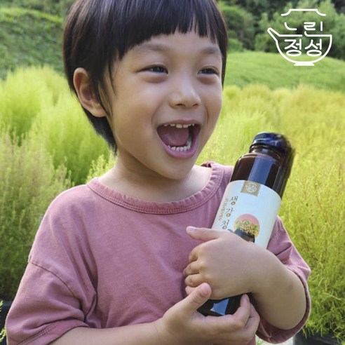 느린정성 국산 수제 생강청 생강차 생강원액 생강즙 원액 100%, 1개, 2개입, 600g