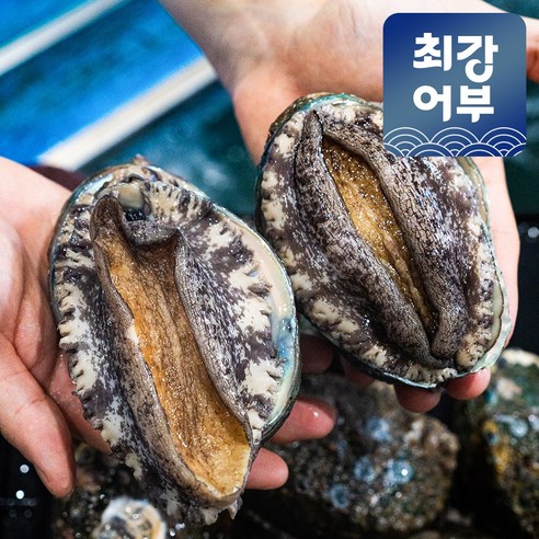 완도 활전복 1kg 국산 특대 꼬마 미니 전복, 1개, 1kg(16-18미) 완도수산