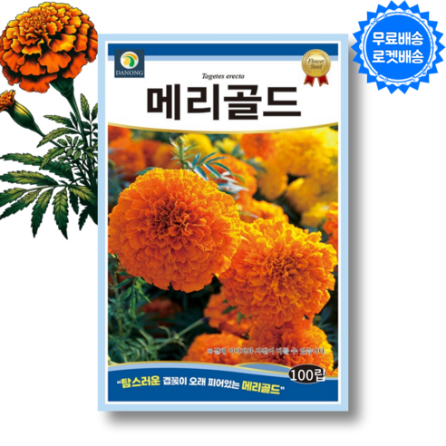 메리골드 씨앗 marigold 꽃 씨앗 꽃씨 메리골드 종자, 1개