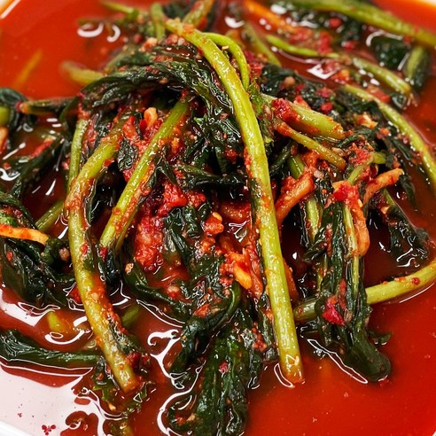 입안 가득 퍼지는 전라도의 깊은 손맛, 당일제조 열무물김치 짜박이