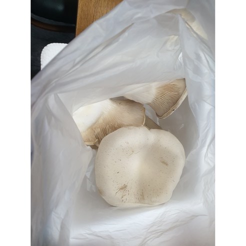 신선한 설원버섯으로 건강한 식탁 만들기