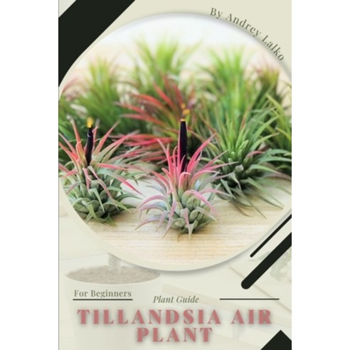 (영문도서) Tillandsia Air Plant: Plant Guide Paperback, Independently Published, English, 9798392264834