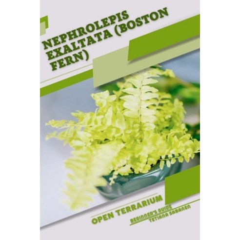 (영문도서) Nephrolepis exaltata (Boston Fern): Open terrarium Beginner''s Guide Paperback, Independently Published, English, 9798856641393