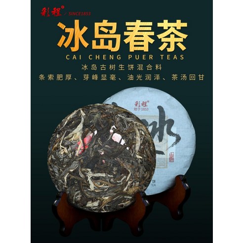 봄의 향기를 담은 깊고 풍부한 차, 채정 빙도 고목춘차