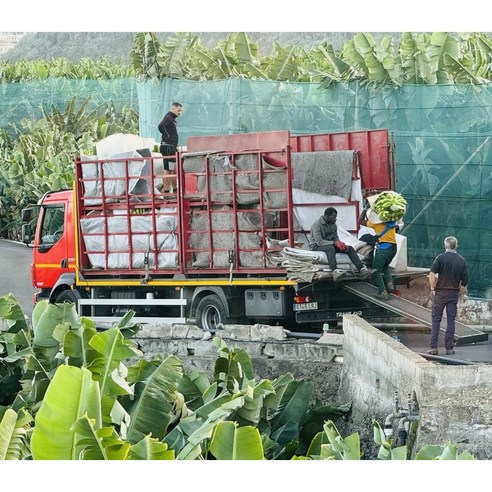 건강한 맛, 경제적인 선택