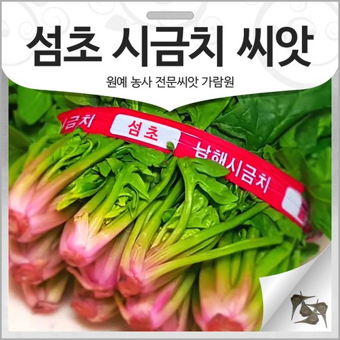gr섬초 시금치 씨앗 채소씨앗 비금도 동초 토종 20g, 1개