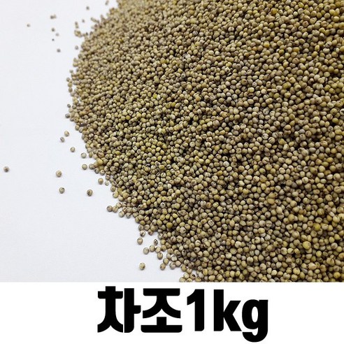 밥보야 수입 차조 청차조 1kg, 1kg, 1개 - 조 | 쿠팡