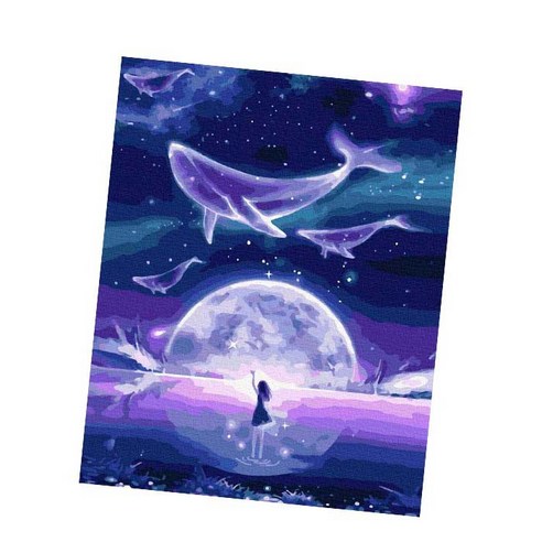 MJS 보석십자수 50 x 40 cm 캔버스형 세트 DIY MH6, 고래와 밤하늘 소녀