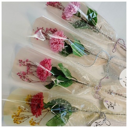 프리져드플라워 비누꽃 카네이션 장미 한송이꽃, 카네이션-진핑크