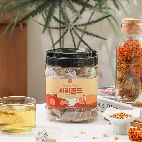 ๋ฏธ์ธํ๋ผ์คํฑ ๊ฑฑ์  ์์ด ๋ฃจํ
์ธ ๊ฐ๋ํ ๋ฉ๋ฆฌ๊ณจ๋ ์ฐจ๋ก ๋ ๊ฑด๊ฐ์!