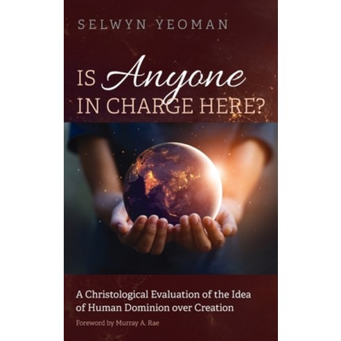 Is Anyone in Charge Here? Hardcover, Pickwick Publications, English, 9781532674907