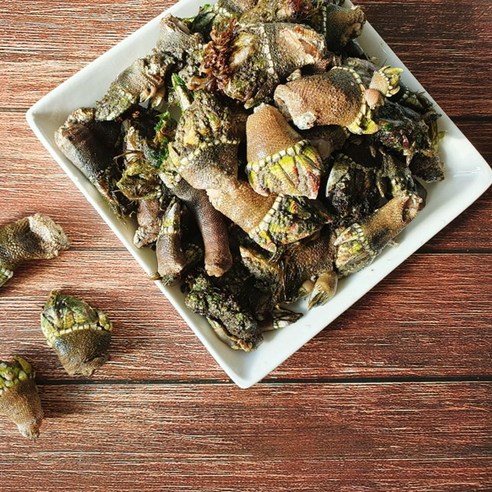 쫄깃쫄깃의 신선한 만재도 거북손으로 고소한 식사의 기쁨을 만끽하세요!