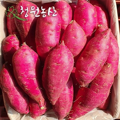 청원농산 햇밤 꿀고구마 로얄사이즈 3kg 5kg 10kg, 로얄사이즈 3kg x 1box, 1개